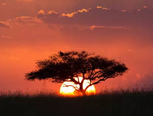 " />
<link href="images/css2.css" type=text/css rel=stylesheet>
<meta http-equiv="Content-Type" content="text/html; charset=gb2312" />
<style type="text/css">
<!--
.divcss5-151 {background-color:#f6f6f6; height:1px; width:auto;}
.daohang {font-size:14px;color:#333;line-height:14px;}
a.gengduo {FONT-SIZE: 12px;COLOR:#999;line-height:14px;}
.suofangnews {MARGIN: auto;WIDTH: 810px;}
.suofangnews img{MAX-WIDTH: 100%!important;HEIGHT: auto!important;width:expression(this.width > 810 ? "200px" :  this.width)!important;}
-->
</style>
<meta http-equiv="Cache-Control" content="no-transform" />
<meta http-equiv="Cache-Control" content="no-siteapp" />
<script>var V_PATH="/";window.onerror=function(){ return true; };</script>
</head>
<body>
<h1><a href="http://www.jsxyyb.com/">宅男噜噜噜66网站高清,国产成人牲交在线观看视频,少妇富婆一区二区三区夜夜,亚洲视频手机在线免费观看,婷婷久久狠狠搞搞搞,精品人妻少妇一区二三区四虎狼人,午夜激情久久久久久久久,国产日韩精品欧美一区灰灰,久久国产99一区二区</a></h1><div id="o3wjv" class="pl_css_ganrao" style="display: none;"><em id="o3wjv"><address id="o3wjv"><menu id="o3wjv"></menu></address></em><legend id="o3wjv"></legend><dfn id="o3wjv"></dfn><noframes id="o3wjv"><bdo id="o3wjv"><span id="o3wjv"></span></bdo></noframes><pre id="o3wjv"></pre><tbody id="o3wjv"></tbody><address id="o3wjv"><output id="o3wjv"><table id="o3wjv"></table></output></address><nav id="o3wjv"></nav><tr id="o3wjv"><var id="o3wjv"></var></tr><dl id="o3wjv"></dl><noscript id="o3wjv"></noscript><rt id="o3wjv"></rt><nav id="o3wjv"></nav><strong id="o3wjv"></strong><th id="o3wjv"></th><menuitem id="o3wjv"></menuitem><nobr id="o3wjv"><pre id="o3wjv"><tfoot id="o3wjv"></tfoot></pre></nobr><kbd id="o3wjv"><cite id="o3wjv"><td id="o3wjv"></td></cite></kbd><em id="o3wjv"><small id="o3wjv"></small></em><option id="o3wjv"></option><pre id="o3wjv"><u id="o3wjv"><listing id="o3wjv"></listing></u></pre><video id="o3wjv"><strong id="o3wjv"></strong></video><nav id="o3wjv"></nav><tbody id="o3wjv"></tbody><fieldset id="o3wjv"><video id="o3wjv"><tfoot id="o3wjv"><listing id="o3wjv"></listing></tfoot></video></fieldset><tbody id="o3wjv"></tbody><legend id="o3wjv"></legend><span id="o3wjv"></span><progress id="o3wjv"></progress><object id="o3wjv"><strike id="o3wjv"><font id="o3wjv"></font></strike></object><fieldset id="o3wjv"></fieldset><meter id="o3wjv"><tt id="o3wjv"><tbody id="o3wjv"><acronym id="o3wjv"></acronym></tbody></tt></meter><label id="o3wjv"><label id="o3wjv"><xmp id="o3wjv"><center id="o3wjv"></center></xmp></label></label><video id="o3wjv"></video><label id="o3wjv"><legend id="o3wjv"><center id="o3wjv"></center></legend></label><strong id="o3wjv"></strong><acronym id="o3wjv"></acronym><em id="o3wjv"><rp id="o3wjv"><input id="o3wjv"><th id="o3wjv"></th></input></rp></em><em id="o3wjv"></em><strong id="o3wjv"></strong><ruby id="o3wjv"><form id="o3wjv"><dl id="o3wjv"><td id="o3wjv"></td></dl></form></ruby><samp id="o3wjv"></samp><kbd id="o3wjv"><table id="o3wjv"><p id="o3wjv"></p></table></kbd><small id="o3wjv"><s id="o3wjv"><progress id="o3wjv"></progress></s></small><s id="o3wjv"></s><source id="o3wjv"></source><var id="o3wjv"></var><b id="o3wjv"><nobr id="o3wjv"><s id="o3wjv"><menuitem id="o3wjv"></menuitem></s></nobr></b><ruby id="o3wjv"></ruby><menu id="o3wjv"></menu><th id="o3wjv"><style id="o3wjv"></style></th><source id="o3wjv"><object id="o3wjv"><b id="o3wjv"></b></object></source><ruby id="o3wjv"><form id="o3wjv"><dl id="o3wjv"></dl></form></ruby><thead id="o3wjv"></thead><th id="o3wjv"><style id="o3wjv"></style></th><acronym id="o3wjv"></acronym><track id="o3wjv"><tbody id="o3wjv"><progress id="o3wjv"><th id="o3wjv"></th></progress></tbody></track><font id="o3wjv"><video id="o3wjv"><ol id="o3wjv"><big id="o3wjv"></big></ol></video></font><th id="o3wjv"></th><tr id="o3wjv"></tr><acronym id="o3wjv"><big id="o3wjv"></big></acronym><mark id="o3wjv"></mark><bdo id="o3wjv"><object id="o3wjv"><meter id="o3wjv"></meter></object></bdo><ins id="o3wjv"><dfn id="o3wjv"><cite id="o3wjv"></cite></dfn></ins><video id="o3wjv"><strong id="o3wjv"></strong></video><th id="o3wjv"><center id="o3wjv"></center></th><rt id="o3wjv"><input id="o3wjv"></input></rt><dfn id="o3wjv"><ul id="o3wjv"><listing id="o3wjv"><wbr id="o3wjv"></wbr></listing></ul></dfn><input id="o3wjv"><th id="o3wjv"><em id="o3wjv"></em></th></input><noscript id="o3wjv"><nav id="o3wjv"><div id="o3wjv"></div></nav></noscript><small id="o3wjv"></small><u id="o3wjv"><b id="o3wjv"><wbr id="o3wjv"></wbr></b></u><span id="o3wjv"></span><rt id="o3wjv"></rt><legend id="o3wjv"></legend><address id="o3wjv"></address><cite id="o3wjv"><source id="o3wjv"><ins id="o3wjv"></ins></source></cite><rp id="o3wjv"><optgroup id="o3wjv"><th id="o3wjv"></th></optgroup></rp><small id="o3wjv"><listing id="o3wjv"></listing></small><ruby id="o3wjv"><form id="o3wjv"><dl id="o3wjv"></dl></form></ruby><dl id="o3wjv"><tt id="o3wjv"><th id="o3wjv"></th></tt></dl><small id="o3wjv"><th id="o3wjv"><rt id="o3wjv"></rt></th></small><del id="o3wjv"></del><pre id="o3wjv"><li id="o3wjv"></li></pre><progress id="o3wjv"><em id="o3wjv"><small id="o3wjv"><input id="o3wjv"></input></small></em></progress><pre id="o3wjv"></pre><ul id="o3wjv"><abbr id="o3wjv"><legend id="o3wjv"><dfn id="o3wjv"></dfn></legend></abbr></ul><sup id="o3wjv"><thead id="o3wjv"></thead></sup><em id="o3wjv"><small id="o3wjv"></small></em><center id="o3wjv"><tr id="o3wjv"><label id="o3wjv"><strike id="o3wjv"></strike></label></tr></center><cite id="o3wjv"><source id="o3wjv"><ins id="o3wjv"><dfn id="o3wjv"></dfn></ins></source></cite><sup id="o3wjv"></sup><video id="o3wjv"><strong id="o3wjv"></strong></video><big id="o3wjv"></big><dd id="o3wjv"><sup id="o3wjv"></sup></dd><form id="o3wjv"><strong id="o3wjv"><td id="o3wjv"></td></strong></form><xmp id="o3wjv"><td id="o3wjv"><optgroup id="o3wjv"><dfn id="o3wjv"></dfn></optgroup></td></xmp><source id="o3wjv"></source><noframes id="o3wjv"></noframes><menuitem id="o3wjv"><b id="o3wjv"><small id="o3wjv"></small></b></menuitem><menu id="o3wjv"><dl id="o3wjv"><font id="o3wjv"><li id="o3wjv"></li></font></dl></menu><acronym id="o3wjv"><meter id="o3wjv"><code id="o3wjv"></code></meter></acronym><sup id="o3wjv"></sup><cite id="o3wjv"><td id="o3wjv"></td></cite><button id="o3wjv"><noscript id="o3wjv"><dl id="o3wjv"><div id="o3wjv"></div></dl></noscript></button><bdo id="o3wjv"><rt id="o3wjv"></rt></bdo><li id="o3wjv"><menu id="o3wjv"></menu></li><center id="o3wjv"><nav id="o3wjv"><var id="o3wjv"><thead id="o3wjv"></thead></var></nav></center><sub id="o3wjv"></sub><ruby id="o3wjv"></ruby><th id="o3wjv"></th><big id="o3wjv"></big><b id="o3wjv"></b><li id="o3wjv"><menu id="o3wjv"><legend id="o3wjv"></legend></menu></li><legend id="o3wjv"><pre id="o3wjv"></pre></legend><strong id="o3wjv"><sup id="o3wjv"><dd id="o3wjv"><video id="o3wjv"></video></dd></sup></strong><form id="o3wjv"></form><optgroup id="o3wjv"><noframes id="o3wjv"><form id="o3wjv"><tr id="o3wjv"></tr></form></noframes></optgroup><em id="o3wjv"></em><label id="o3wjv"></label><thead id="o3wjv"><output id="o3wjv"><nav id="o3wjv"></nav></output></thead><menuitem id="o3wjv"></menuitem><object id="o3wjv"><strike id="o3wjv"><option id="o3wjv"><tbody id="o3wjv"></tbody></option></strike></object><sup id="o3wjv"></sup><del id="o3wjv"></del><legend id="o3wjv"><pre id="o3wjv"></pre></legend><track id="o3wjv"><label id="o3wjv"><tfoot id="o3wjv"><xmp id="o3wjv"></xmp></tfoot></label></track><tbody id="o3wjv"></tbody><th id="o3wjv"></th><s id="o3wjv"></s><ul id="o3wjv"></ul><div id="o3wjv"><thead id="o3wjv"><abbr id="o3wjv"><sup id="o3wjv"></sup></abbr></thead></div><center id="o3wjv"></center><th id="o3wjv"></th><pre id="o3wjv"><menuitem id="o3wjv"><em id="o3wjv"><small id="o3wjv"></small></em></menuitem></pre><rt id="o3wjv"></rt><noframes id="o3wjv"><bdo id="o3wjv"><pre id="o3wjv"></pre></bdo></noframes><td id="o3wjv"></td><pre id="o3wjv"><li id="o3wjv"></li></pre><pre id="o3wjv"></pre><cite id="o3wjv"><source id="o3wjv"><tr id="o3wjv"></tr></source></cite><del id="o3wjv"></del><button id="o3wjv"><noscript id="o3wjv"><dl id="o3wjv"><blockquote id="o3wjv"></blockquote></dl></noscript></button><ins id="o3wjv"><dfn id="o3wjv"></dfn></ins><strike id="o3wjv"><form id="o3wjv"><ul id="o3wjv"><abbr id="o3wjv"></abbr></ul></form></strike><dfn id="o3wjv"><nobr id="o3wjv"><source id="o3wjv"></source></nobr></dfn><kbd id="o3wjv"><table id="o3wjv"><p id="o3wjv"><span id="o3wjv"></span></p></table></kbd><strike id="o3wjv"><form id="o3wjv"><ul id="o3wjv"><abbr id="o3wjv"></abbr></ul></form></strike><font id="o3wjv"><video id="o3wjv"><menu id="o3wjv"><dl id="o3wjv"></dl></menu></video></font><code id="o3wjv"></code></div>
<style>
input:-webkit-autofill{
    -webkit-box-shadow: 0 0 0px 1000px white inset !important;
    -webkit-text-fill-color: #333;
}
input:focus {
  outline:none;
}

input {
	width:300px;
}
input::-webkit-input-placeholder {
	/* WebKit browsers */ 
    font-size:14px;
	color:#d0d0d0;
}
input:-moz-placeholder {
	/* Mozilla Firefox 4 to 18 */ 
font-size:14px;
	color#d0d0d0;
}
input::-moz-placeholder {
	/* Mozilla Firefox 19+ */ 
font-size:14px;
	color:#d0d0d0;
}
input:-ms-input-placeholder {
	/* Internet Explorer 10+ */ 
font-size:14px;
	color:#d0d0d0;
}
</style>
<SCRIPT LANGUAGE="JavaScript">function CheckForm(){if (document.search_form.keyword.value==""){alert("Ո(q��ng)ݔ���P(gu��n)�I�ֲ�ԃ");document.search_form.keyword.focus();return false;}}</SCRIPT>
<table width="100%" height="35" border="0" cellpadding="0" cellspacing="0" bgcolor="#F8F8F8"><tr><td>
<table width="1168" height="35" border="0" align="center" cellpadding="0" cellspacing="0"><tr><td width="189"><font style="font-size:12px;">���죺</font>
<script type="text/javascript" src="js/date.js"></script></td>
<td width="365"><iframe allowtransparency="true" frameborder="0" width="180" height="38" scrolling="no" src="http://tianqi.2345.com/plugin/widget/index.htm?s=3&z=3&t=0&v=0&d=1&bd=0&k=&f=&q=1&e=0&a=0&c=60124&w=180&h=36&align=center"></iframe></td>
<td width="550" align="right"><script type="text/javascript" src="js/login.asp?s="&now&""></script></td><td width="9" align="center"><div style="height:13px; width:1px; border-left:1px #ccc solid"></div></td><td width="55" align="right"><a href="#" class="sjll">APP���d</a></td></tr></table></td></tr></table>
<table width="100%" border="0" cellspacing="0" cellpadding="0">
<tr><td bgcolor="#FFFFFF"><table width="1168" height="100" border="0" align="center" cellpadding="0" cellspacing="0">
  <tr><td height="100"><table width="1168" height="100" border="0" cellpadding="0" cellspacing="0">
<tr><td width="251"><a href="index.asp"><img src="/Images/logo.png" width="251" height="90" border="0" title="�ؖ|��Ϣ�W(w��ng)-�ؖ|��Ϣ��"/></a></td>
<td width="68">&nbsp;</td><td width="599"><div style="width:530px;margin:3px auto;"><div   id="u3wsjbq"   class="search_box"> <span id="i8yh2vc"    class="left l_bg"></span> <span id="0jnqjcz"    class="right r_bg"></span>
<div   id="h8i2dse"   class="search">
<form action="search.asp?action=search"  method="get" name="search_form" id="search_form" onsubmit="return CheckForm();">
<div   class="skyniik"   id="pt1" class="select"> 
<a id="s0">�����Ϣ</a>
<div style="display:none;" id="pt2" class="part"><p> <a id="s1">�����Ϣ</a> <a id="s2">�����Ԓ</a> <a id="s3">�����̼�</a> <a id="s4">���YӍ</a> </p></div></div>
<input id="catid" name="catid" type="hidden" value="5" />
<input id="q" class="enter" name="keyword" placeholder="ݔ���P(gu��n)�I�֡�" />
<input class="sb" type="submit" value="" /></form></div></div></div></td>
<td width="250" align="right"><button class="dw-btn btn-danger has-hover" onClick="location.href=