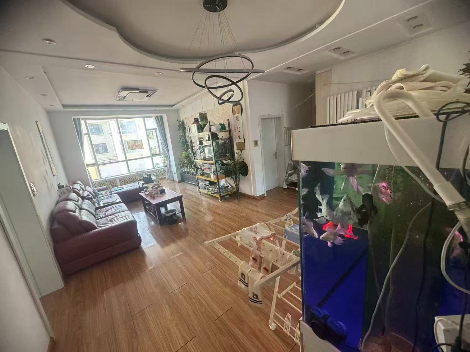 �J�r�ˣ���ī�E��